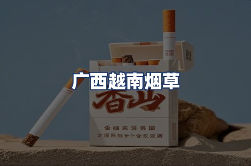 广西越南烟草